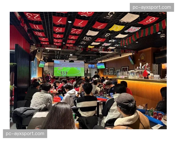 英超俱乐部联合发起“足球无障碍”倡议，改善残疾球迷观赛体验